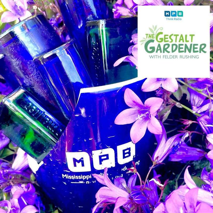 cover art for The Gestalt Gardener | I'll Be Back
