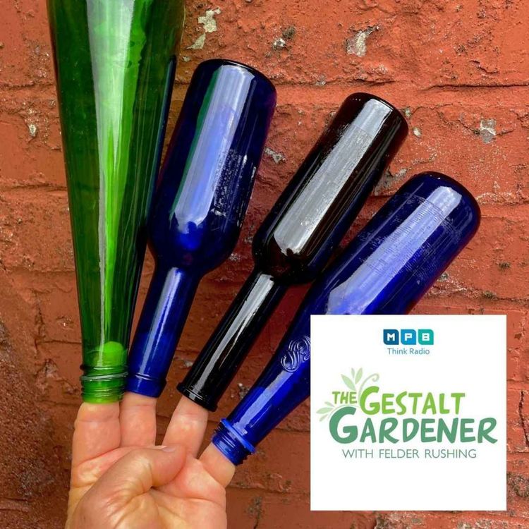 cover art for The Gestalt Gardener | Bottle Tree Man