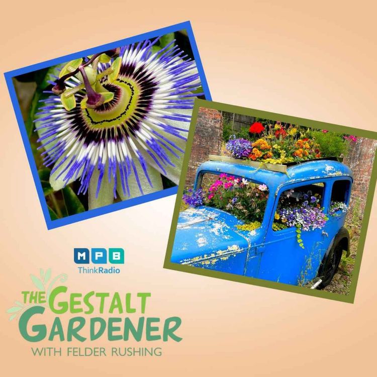 cover art for The Gestalt Gardener | Heat Streak