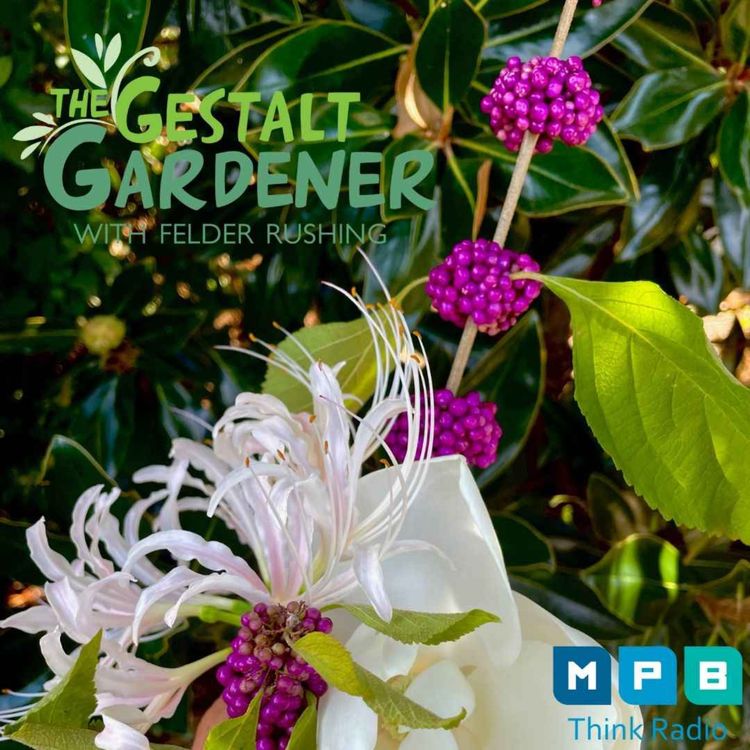 cover art for The Gestalt Gardener | Felder is Back!