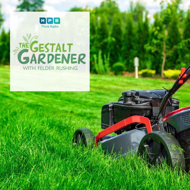 cover art for The Gestalt Gardener | Keep Gardening