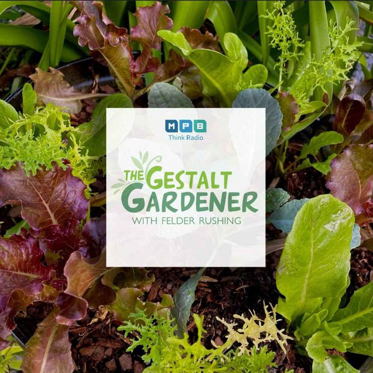 cover art for The Gestalt Gardener | Garden Party