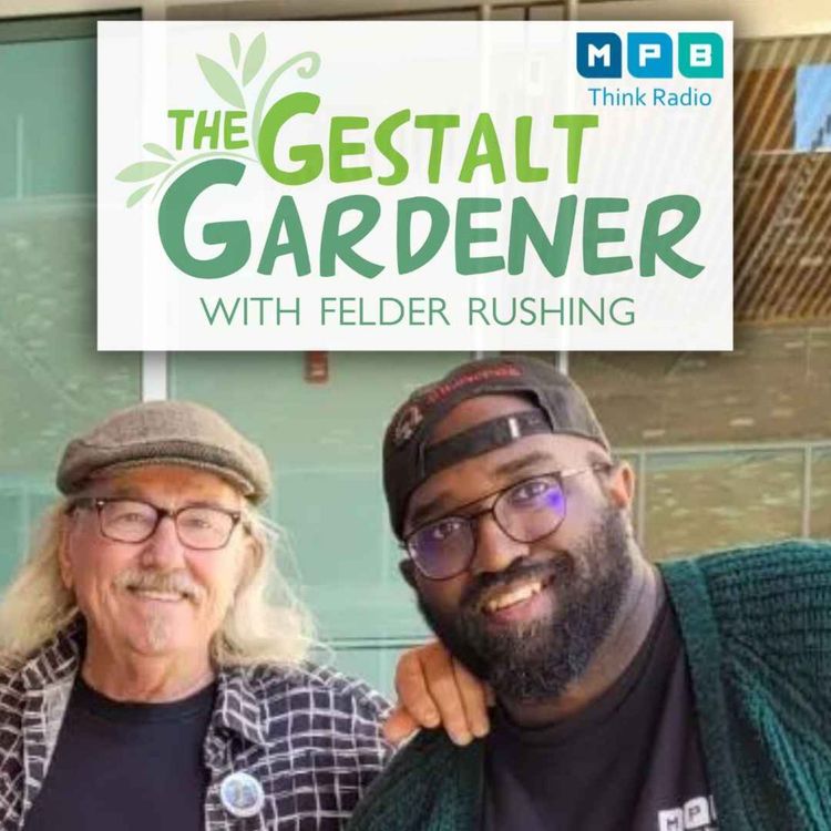 cover art for The Gestalt Gardener | Drive Time - Fall 2022