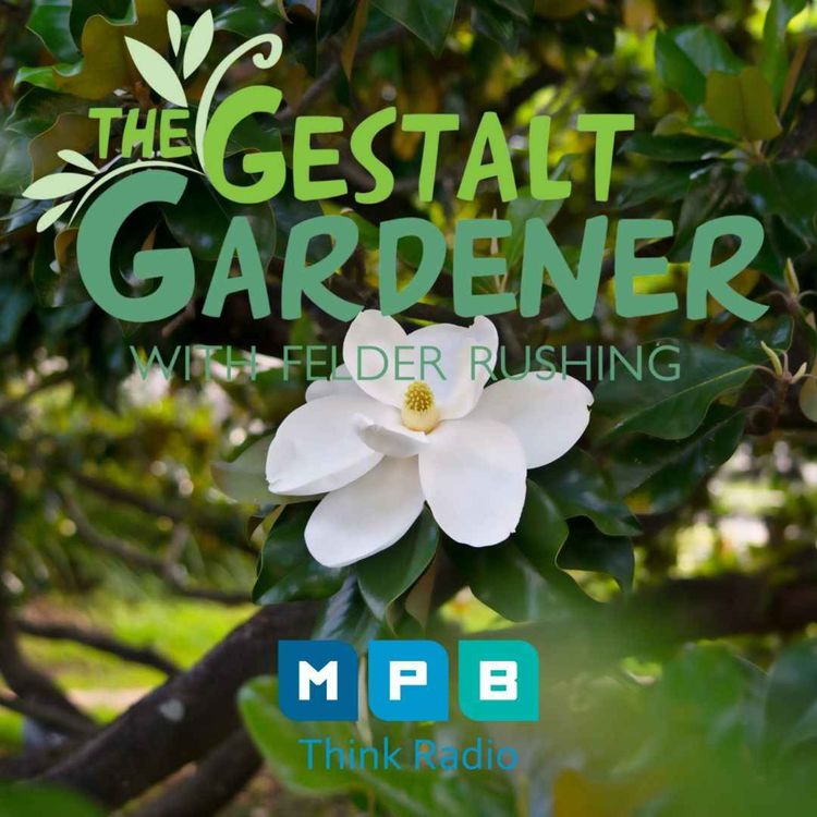 cover art for The Gestalt Gardener | Gardening in the Deep South