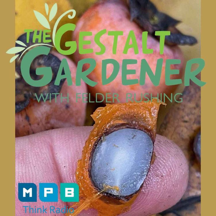 cover art for The Gestalt Gardener | Fall Gardening All-Call