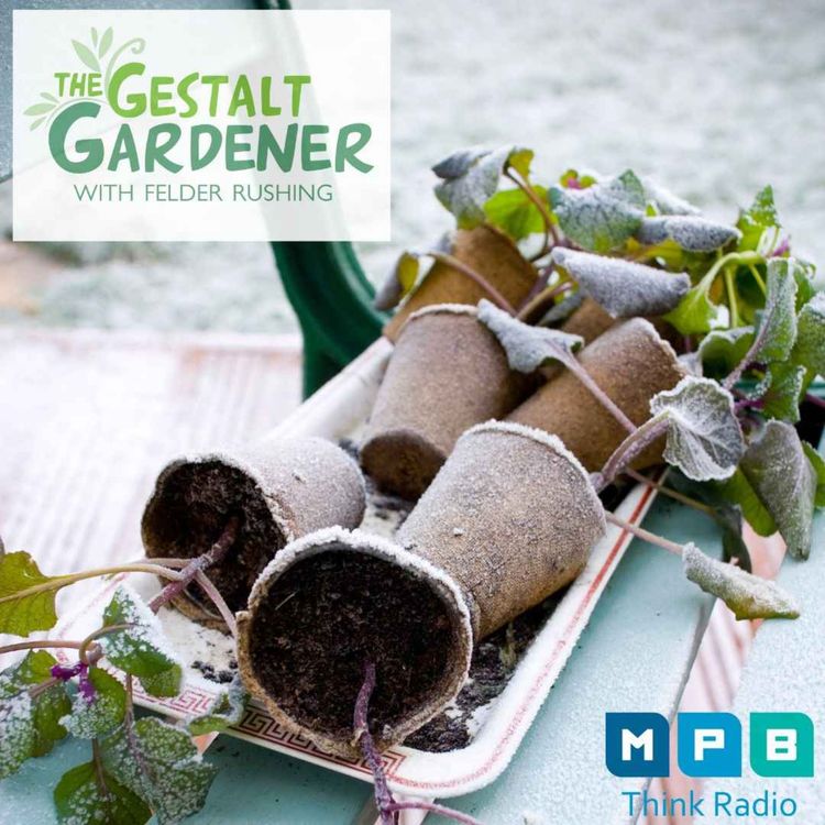 cover art for The Gestalt Gardener | Six More Weeks of Winter Gardening