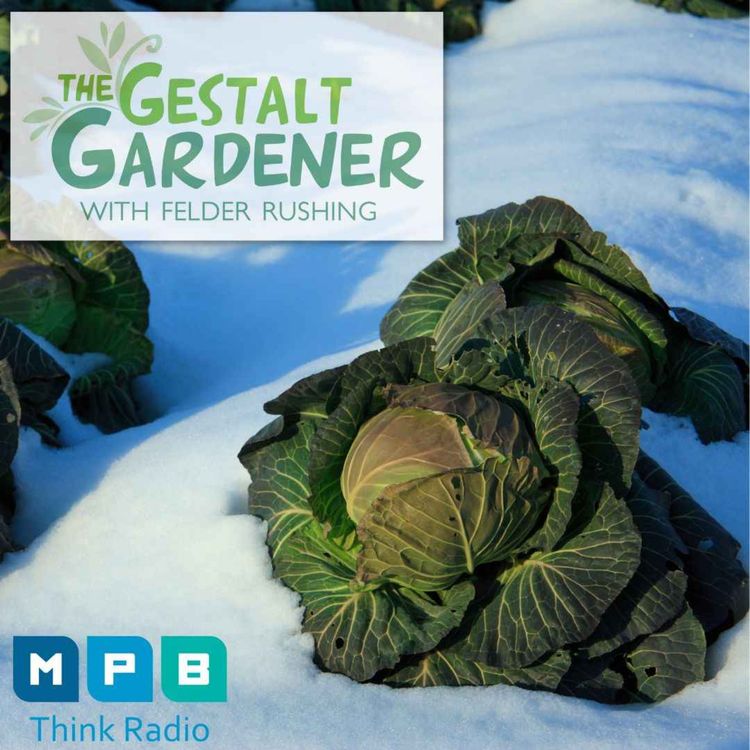 cover art for The Gestalt Gardener | Seize The Gardening Day