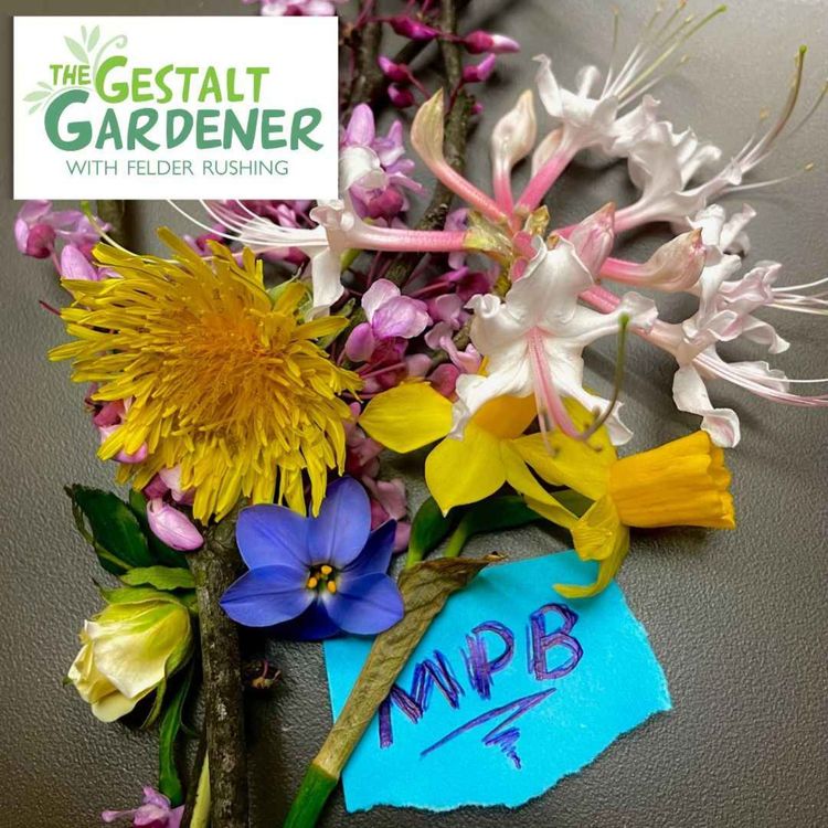 cover art for The Gestalt Gardener | Answers to Unasked Question