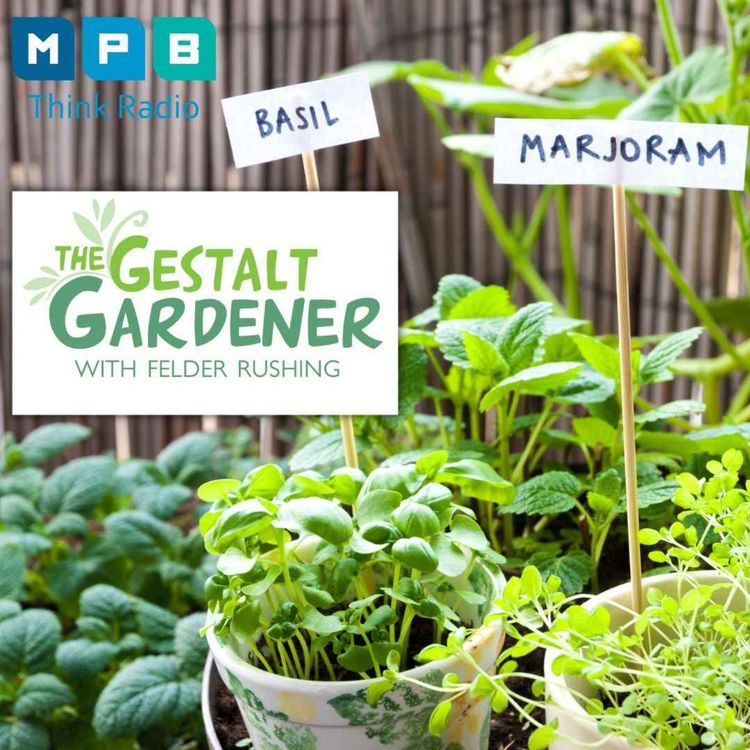 cover art for The Gestalt Gardener | Planting for Summer
