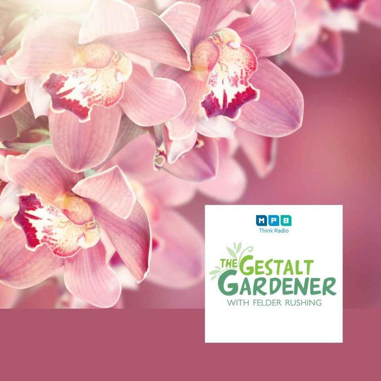 cover art for The Gestalt Gardener | Deep South Gardening