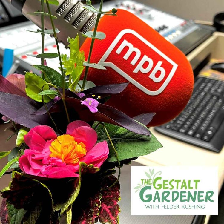cover art for The Gestalt Gardener | Brown is a Color Too!