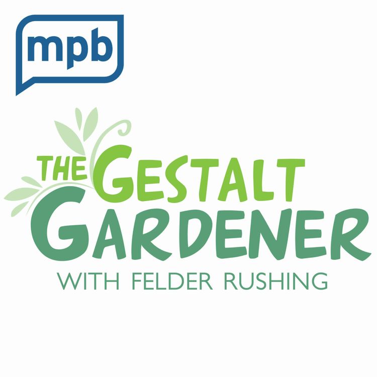 cover art for The Gestalt Gardener | Mashing Buttons