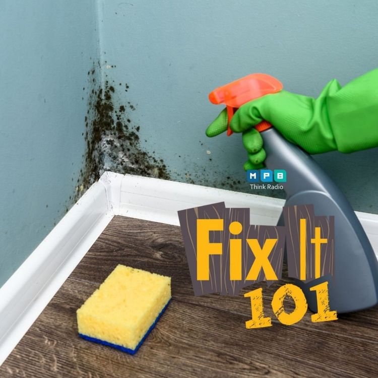 cover art for Fix It 101: Really Clean