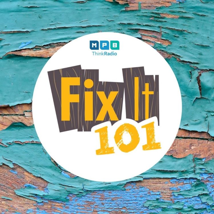 cover art for Fix It 101: Summer Wash and Paint