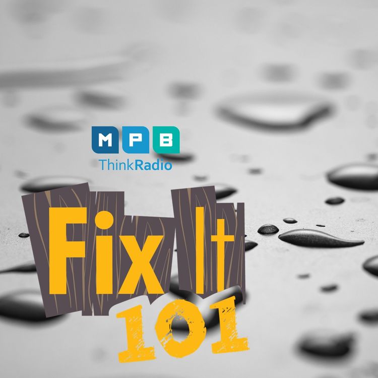 cover art for Fix It 101: Water Displacement