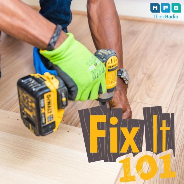 cover art for Fix It 101 | August Fixes