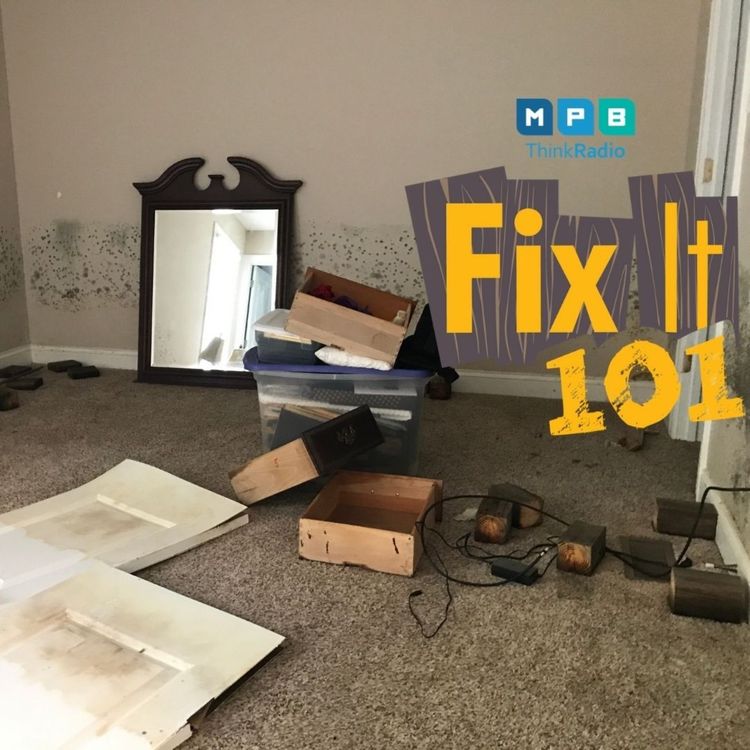 cover art for Fix It 101 | Floods and Flooring