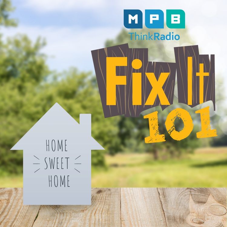 cover art for Fix It 101 | Earth Day