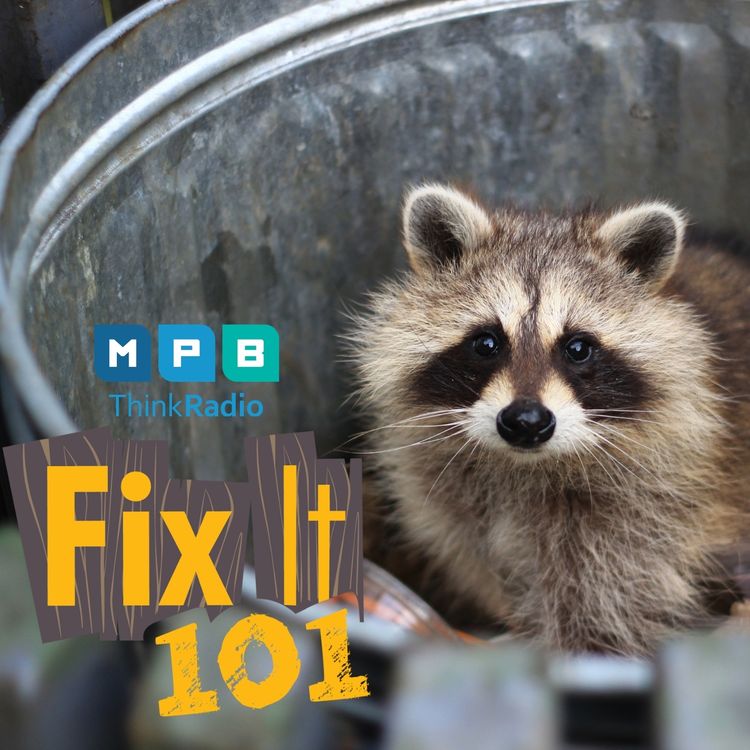 cover art for Fix It 101 | Pest Control with John Able