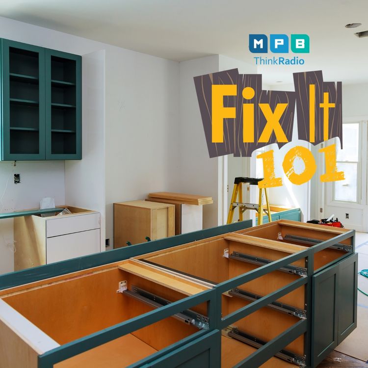 cover art for Fix It 101 | Pam, Shane, and The Remodel