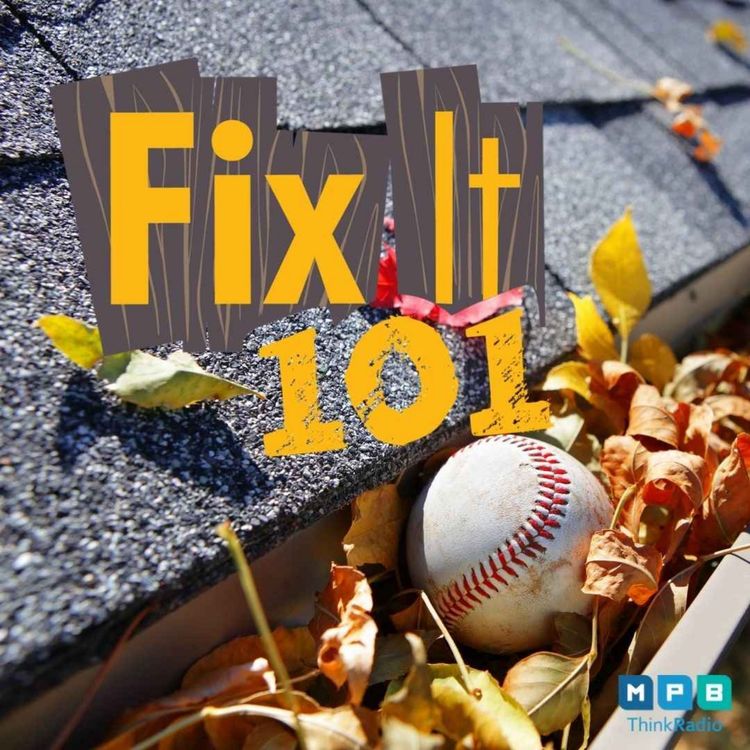 cover art for Fix It 101 | Talking Gutters