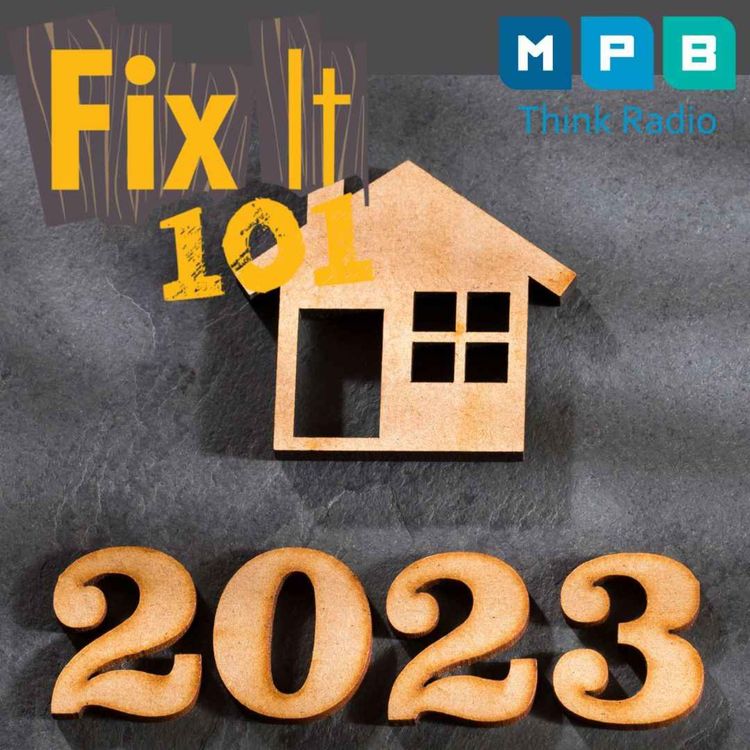 cover art for Fix It 101 | New Year Home Habits