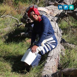 The Mississippi Arts Hour| Dr J. Janice Coleman | Mississippi Arts Hour