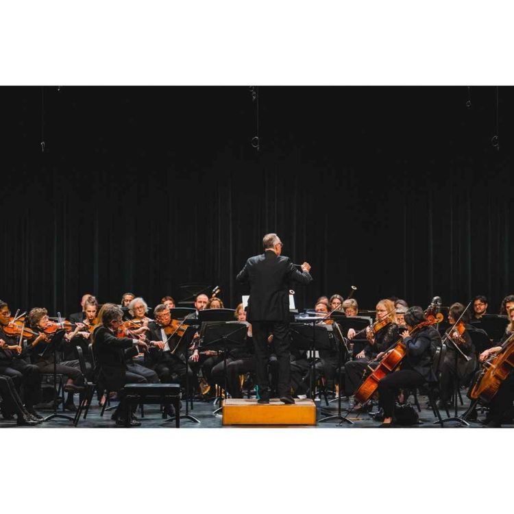 cover art for The Mississippi Arts Hour | The Mississippi Symphony Orchestra