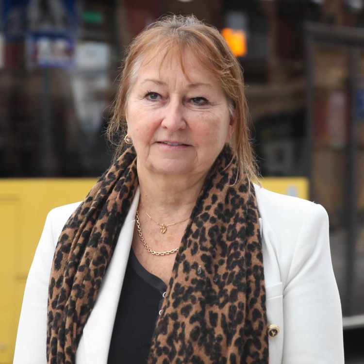 cover art for  Kollektivkrisen i fylkene