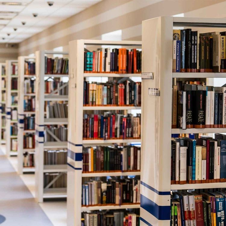 cover art for Bibliotekenes rolle i demokratiet