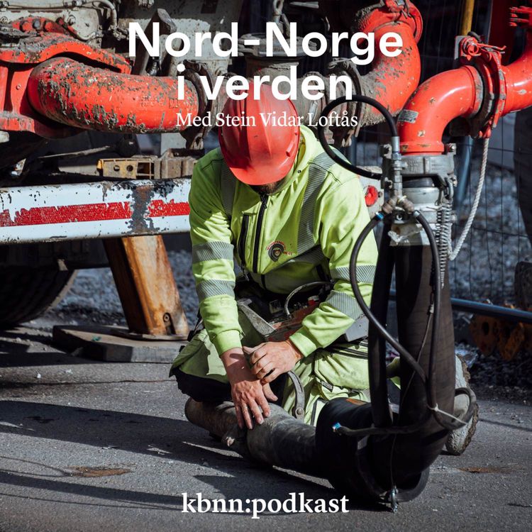 cover art for Økt pessimisme i nord