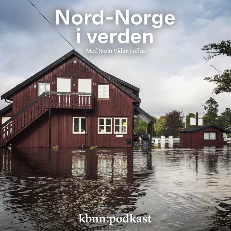 cover art for Færre bedrifter bryr seg om klimarisiko