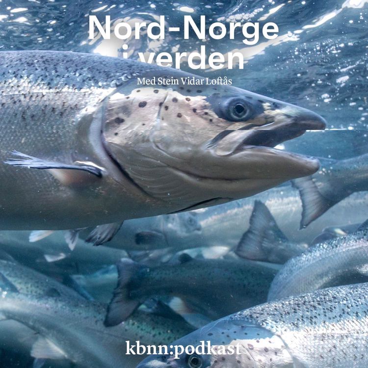 cover art for Grunnen til grunnrenteskatten