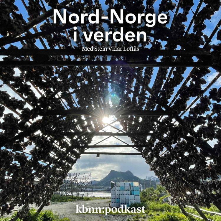 cover art for Jakten på risikokapital i nord