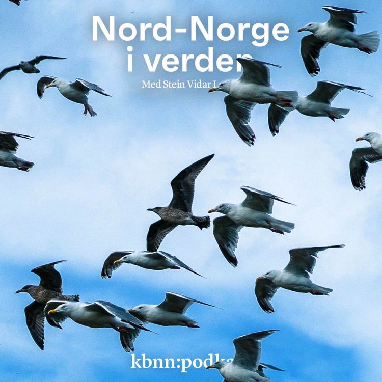 cover art for De fordømte måsene