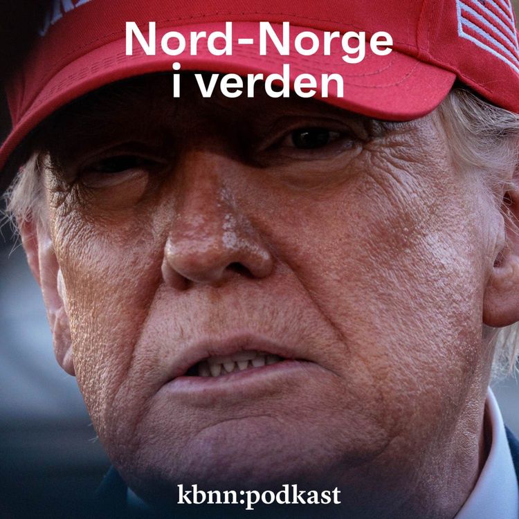 cover art for Hva betyr Trumps tollmurer for Nord-Norge?