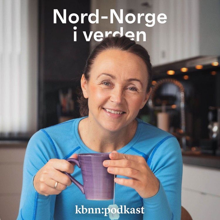 cover art for Er skyhøye priser den nye normalen?