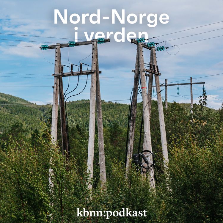 cover art for 150 milliarder på vent: Har vi råd til å mangle strøm?