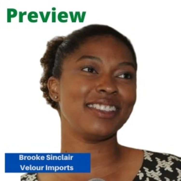 cover art for PREVIEW: Brooke Sinclair, Velour Imports