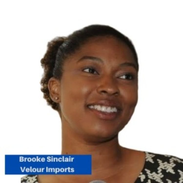 cover art for Brooke S. Sinclair, Velour Imports