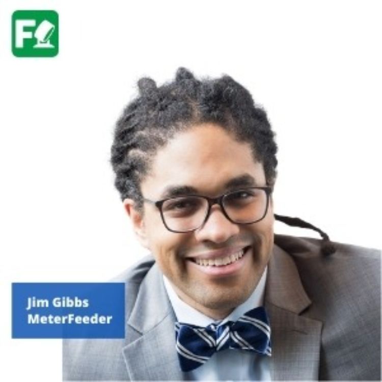 cover art for Jim Gibbs - MeterFeeder