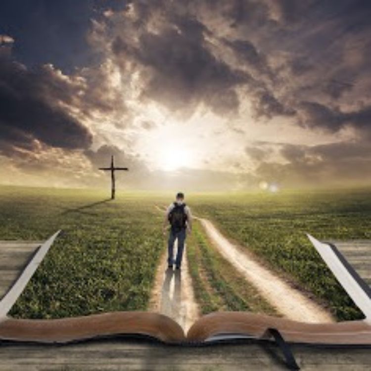 cover art for #16 - Den rette vei