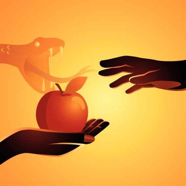 cover art for #24 - Anakonda timen