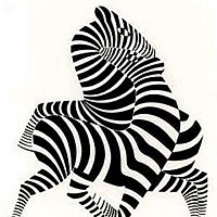 cover art for Zebras