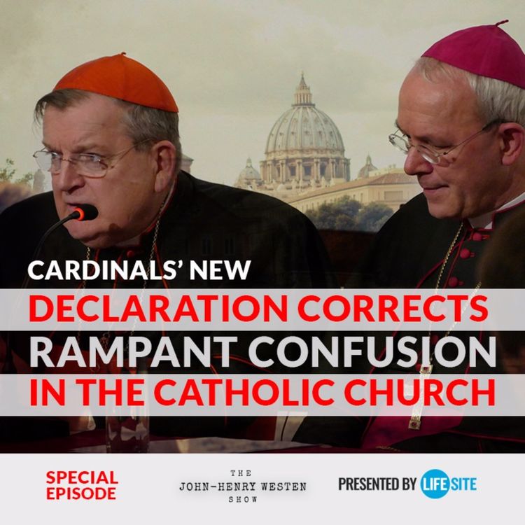 cover art for Special Edition: Cardinals' new declaration corrects rampant confusion in the Church