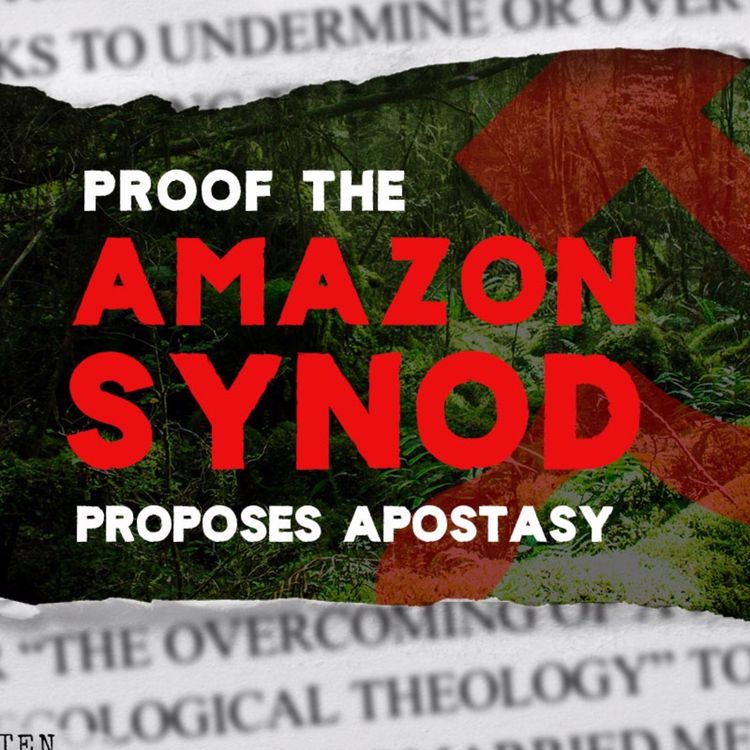 cover art for Proof the Amazon Synod proposes apostasy