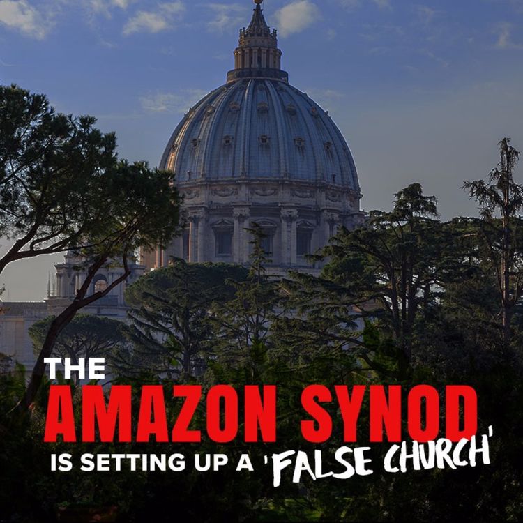 cover art for The Amazon Synod is setting up a 'false Church'