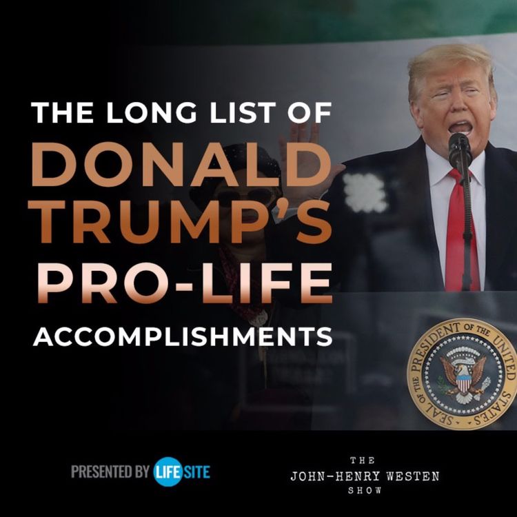 cover art for The long list of Donald Trump's pro-life accomplishments