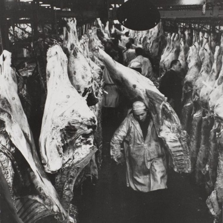 cover art for Les Halles. Robert Doisneau