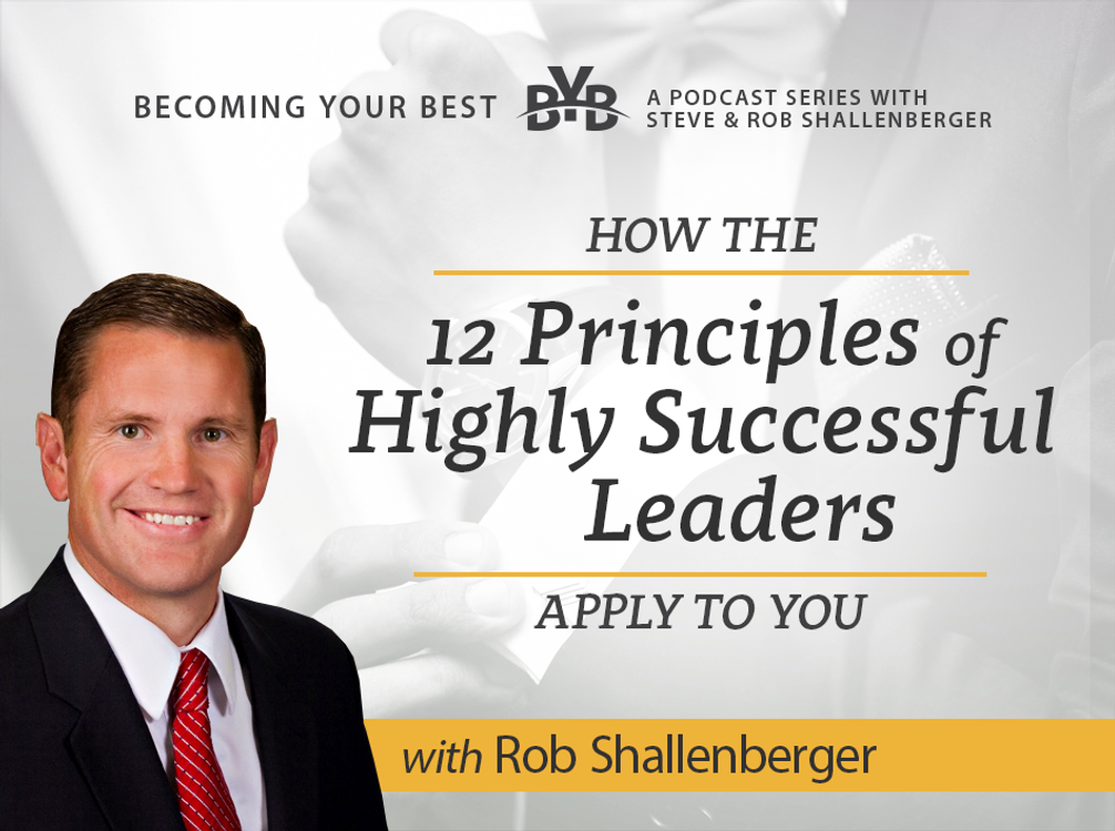 cover art for How the 12 Principles of Highly Successful Leaders Apply to You